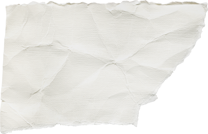 Scrap of Crumpled White Paper