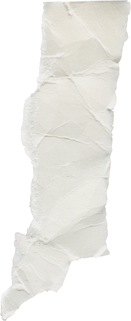 Scrap of Crumpled White Paper